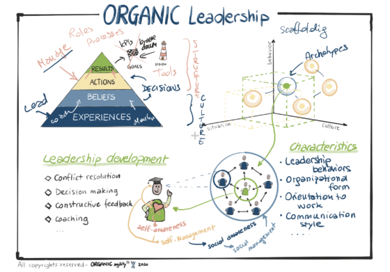 ORGANIC Leadership in a Nutshell
